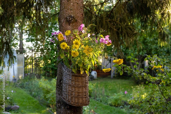 Fototapeta Bouquet of wild flowers in a basket on a tree