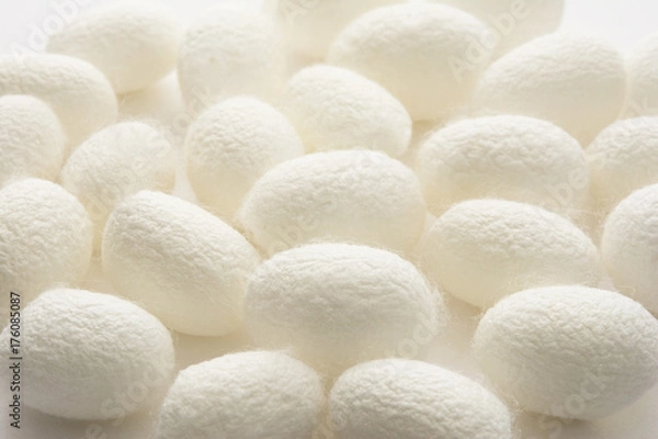 Obraz まゆだま  背景素材

