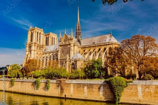 Fototapeta Notre Dame in Paris, in the autumn