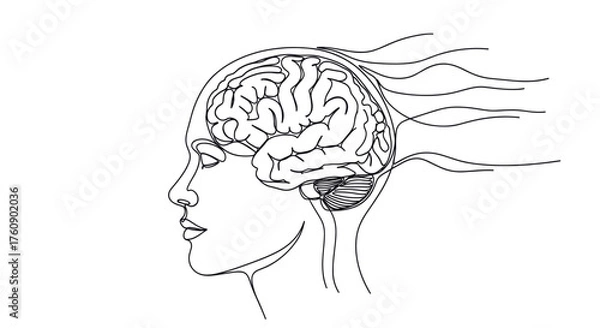 Fototapeta Profile of a human head with a visible brain, symbolizing psychology, neuroscience, and mental health. Line art vector illustration, isolated on a transparent background