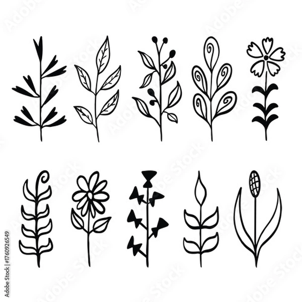Obraz Hand Drawn Botanical Flower and Leaf Vector Set