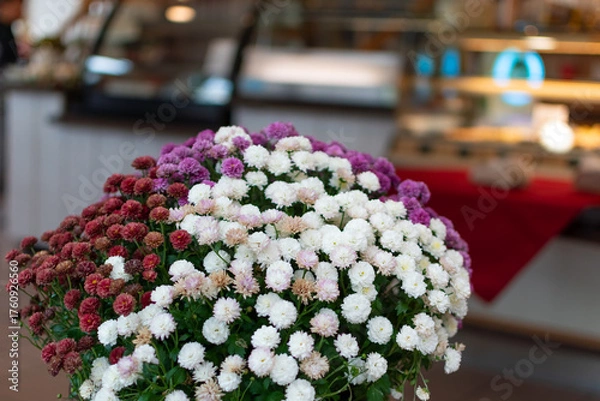 Fototapeta Vibrant, large bouquet of white, pink, and deep red chrysanthemum flowers in the foreground, with the blurred interior of a bakery or cafe visible in the background