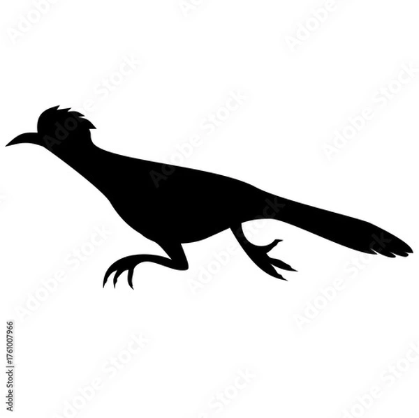 Obraz Roadrunner Bird Silhouette 