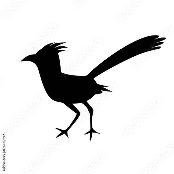 Obraz Roadrunner Bird Silhouette 