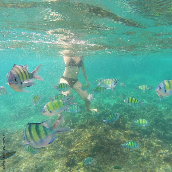 Obraz POISSON DANS L'EAU