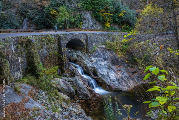 Obraz small waterfall in the forest