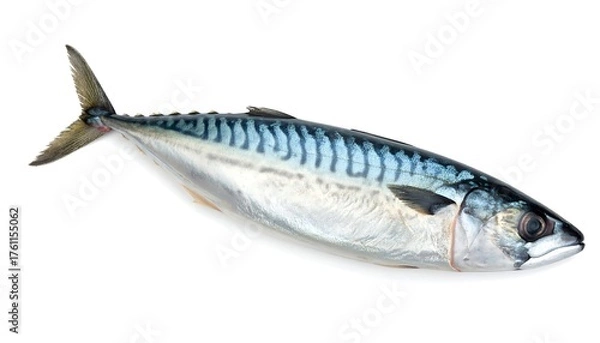 Obraz Whole mackerel fish