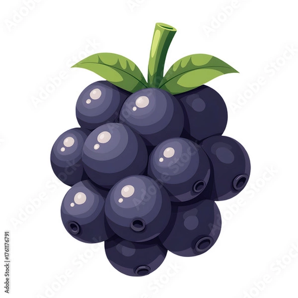 Obraz Blackberry Cluster Icon
