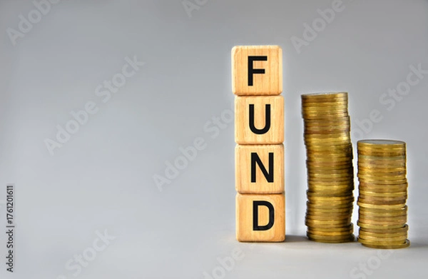 Fototapeta FUND - word on wooden cubes on the background of stacks of coins