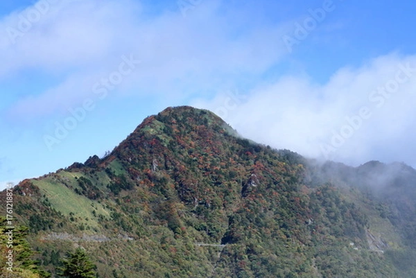 Fototapeta 西黒森　山粧う　（高知県　町道瓶ヶ森線）