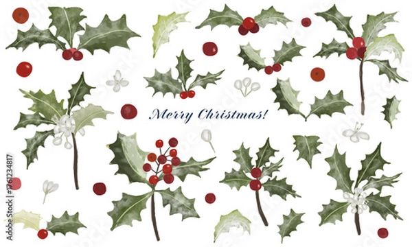 Fototapeta 手描き水彩風クリスマスホーリー＆ベリーのエレガントな装飾パーツ・フレーム素材セット