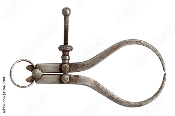 Obraz Spring Dividers