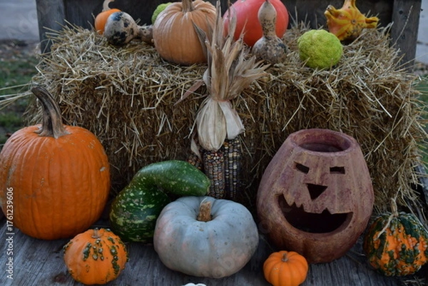 Obraz Autumn Decorations