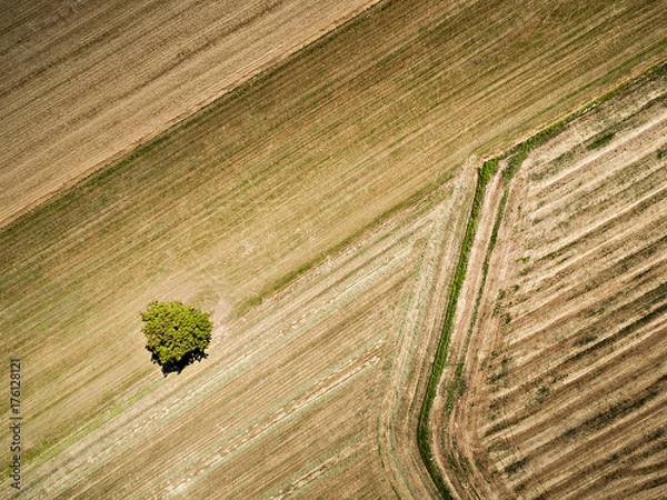 Fototapeta Between the lines