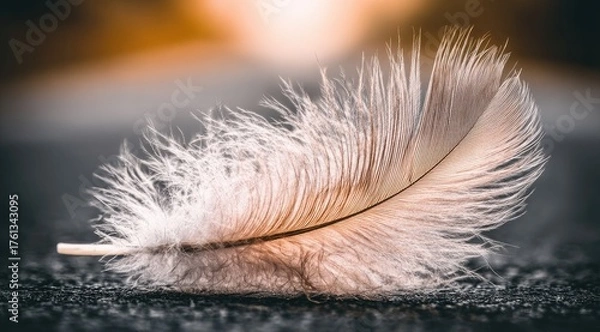 Obraz Delicate feather resting on a dark surface.