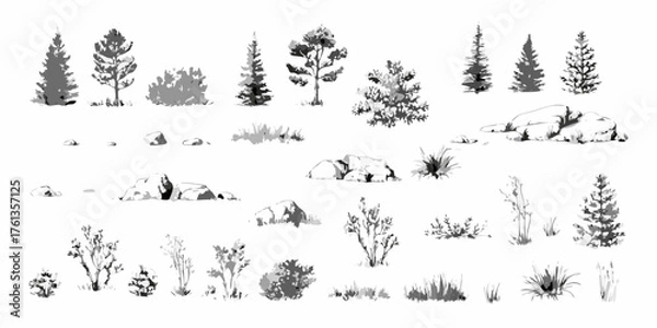 Fototapeta Collection of hand drawn black and white illustrations of coniferous trees bushes rocks and grass elements