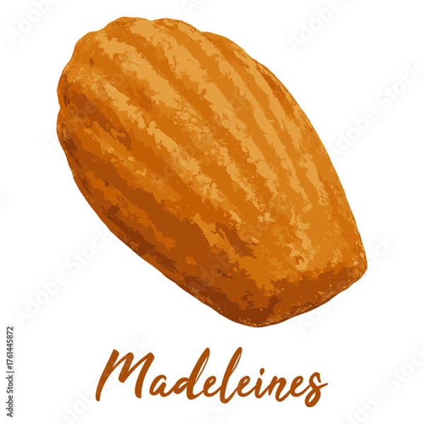 Obraz Madeleines in watercolor illustration style, isolated vector on white background