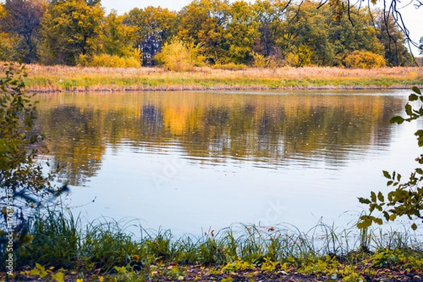 Obraz Autumn landscape with a lake. On the trees yellow leaves