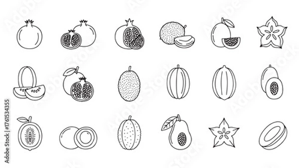 Fototapeta Collection of diverse fruits and their cross-sections, rendered in simple line art style