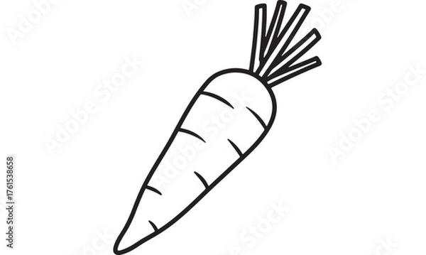 Fototapeta Simple outline drawing of a fresh carrot with green leafy top