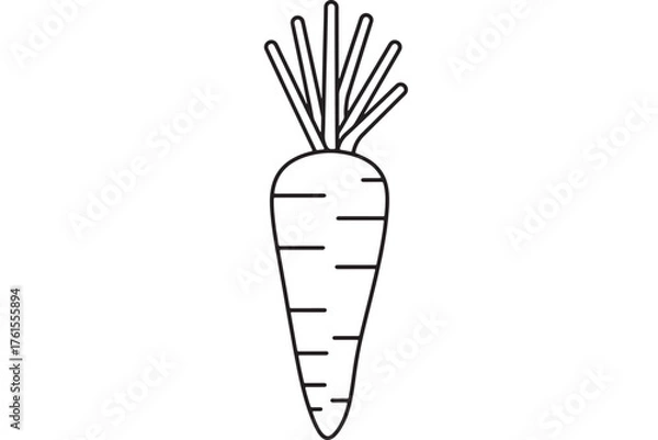 Fototapeta Simple outline drawing of a fresh carrot with green leafy tops