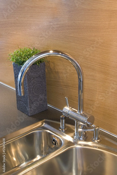 Obraz a kitchen sink