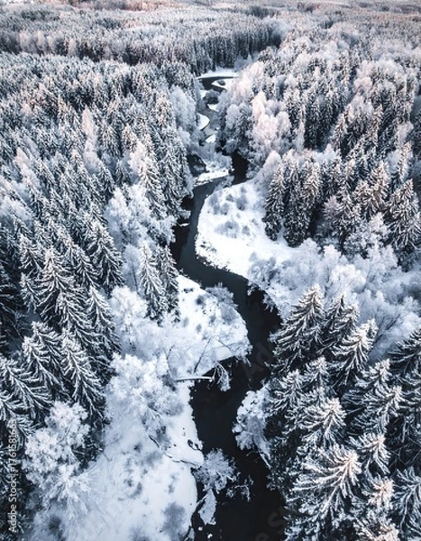 Fototapeta Aerial view of a snow-covered forest with a winding river cutting through the frosted landscape. Sunlight catches the white trees