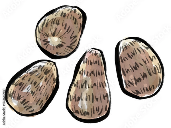 Fototapeta 毛筆の里芋のイラスト