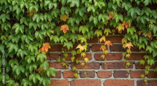 Obraz Red brick wall with ivy