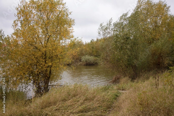 Obraz jesień nad wisła