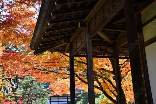 Obraz 赤く染まる山寺の境内