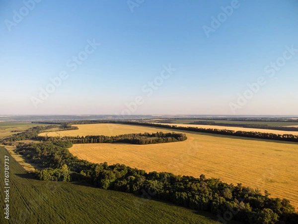 Fototapeta Aerial farmland scenery with wheat and barley fields surrounded by green trees in summer