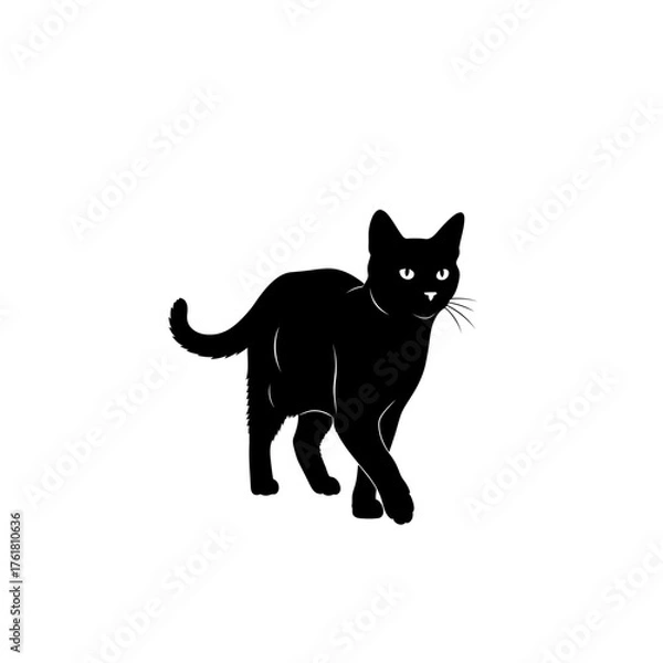 Obraz A sleek black cat with bright eyes walks forward with its tail curved.