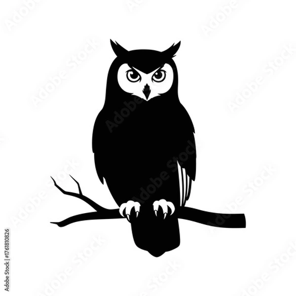 Obraz A silhouette of a wise owl perched on a bare tree branch against a white background.