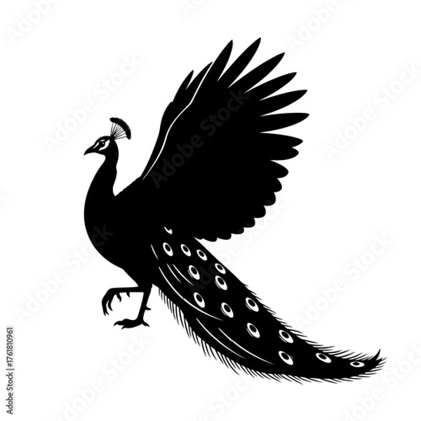 Obraz Silhouette of a peacock with its wings spread, showcasing intricate details and elegant posture.