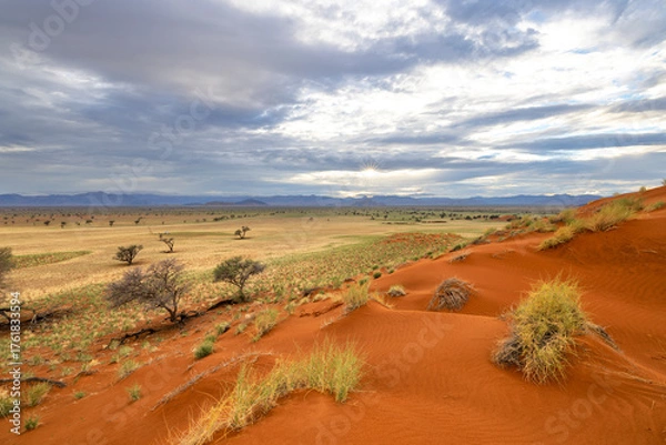 Obraz Red sand dune green grass and blue clouds