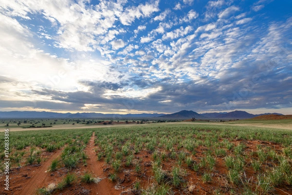 Obraz Green grass after the rain