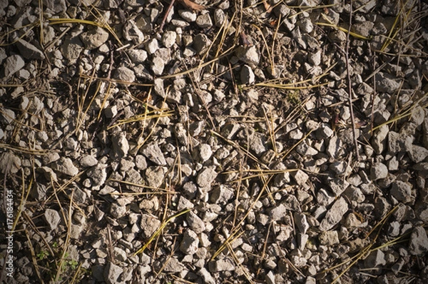 Fototapeta rocky ground texture at autumn. background.