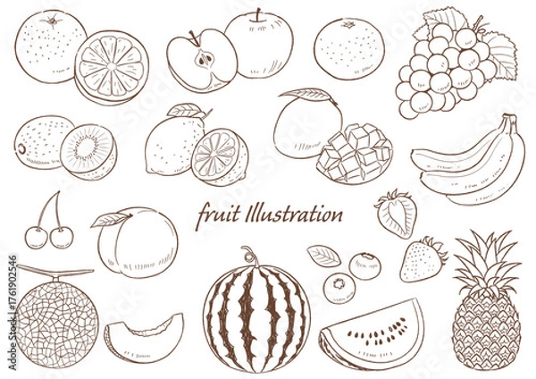 Obraz 手描きの果物のセット線画_ベクターイラスト