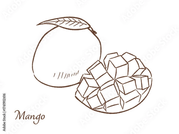 Obraz マンゴーの手描きベクターイラスト