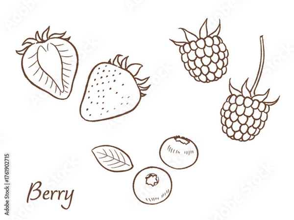 Obraz 苺、ブルーベリー、ラズベリーの手描きベクターイラスト