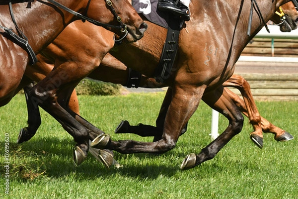 Obraz Horse racing action