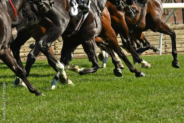 Obraz Horse racing action