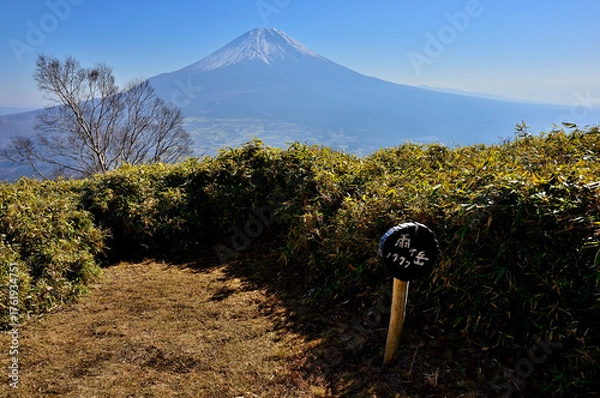 Obraz 天子山地の雨ヶ岳山頂より望む富士山
