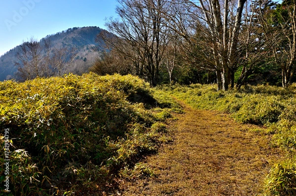 Obraz 天子山地の雨ヶ岳山頂より望むタカデッキ
