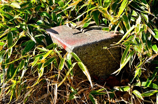 Obraz 天子山地　雨ヶ岳山頂の三角点　三等三角点（雨ヶ岳）
