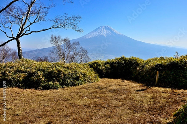 Obraz 天子山地の雨ヶ岳山頂より富士山を望む
