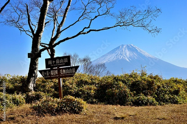Obraz 天子山地の雨ヶ岳山頂　雪被る富士山を眺める
