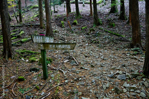Obraz 天子山地の竜ヶ岳　端足峠入口の登山道
