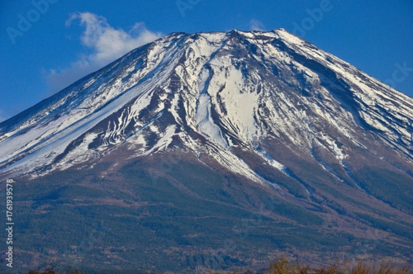 Obraz 静岡県富士宮市　朝霧高原から望む雄大な富士山
